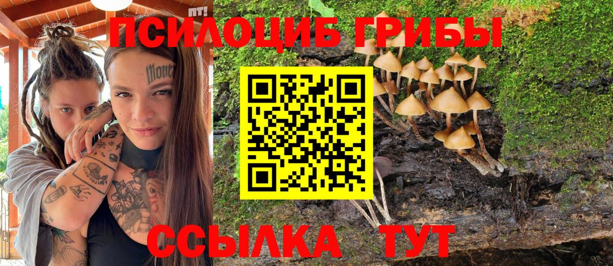 Галлюциногенные грибы Psilocybe  Вход с VPN  наркота  Киселёвск 
